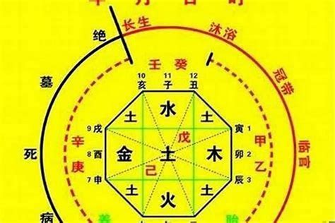 辰戌天羅地網|命理乾坤 認識八字中的「天羅」與「地網」